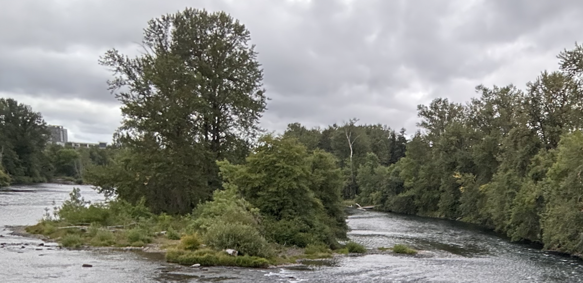 Everyday English Majors: Everett Hamner